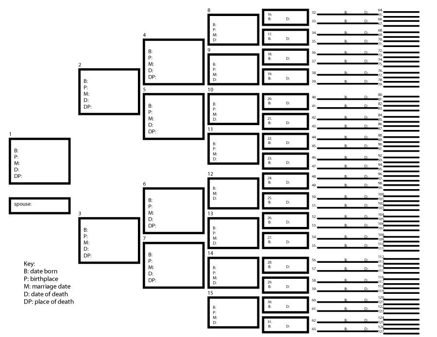 50+ Free Family Tree Templates (Word, Excel, PDF)   Template Lab