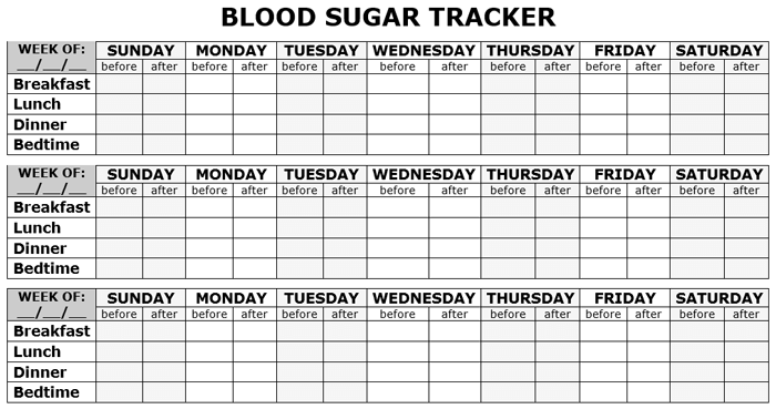 Printable Blood Sugar Tracker