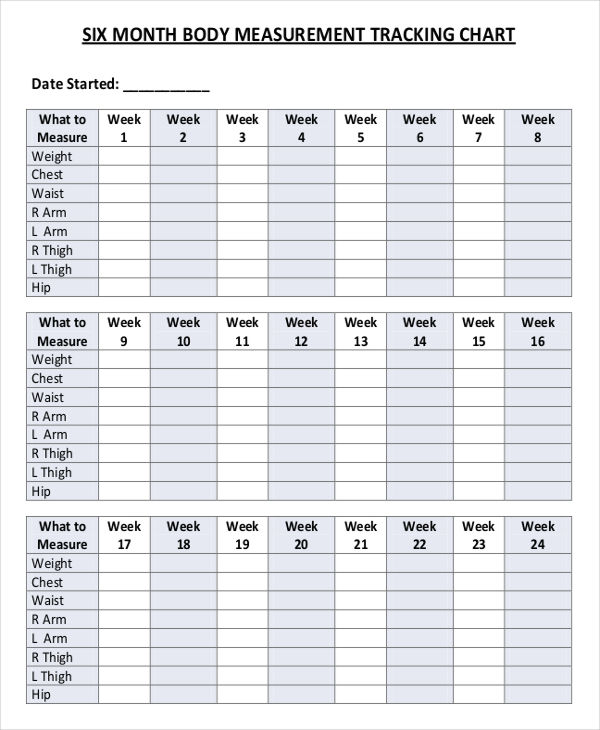 9+ Body Chart Templates   Word, PDF | Free & Premium Templates
