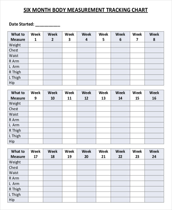 Body Measurement Tracking Chart Printable Shop Fresh