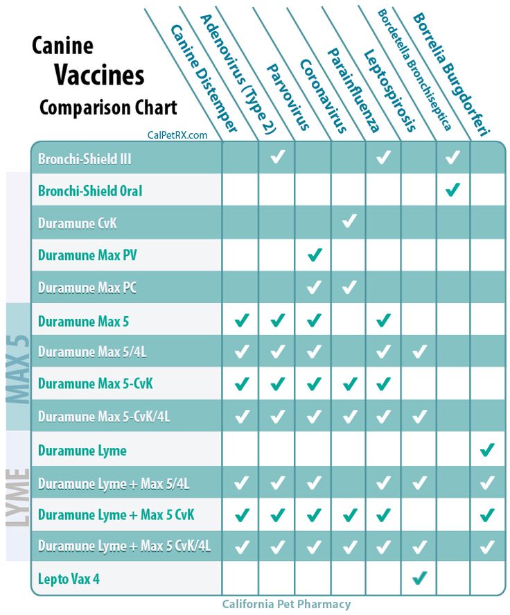 puppy vaccine chart   Erkal.jonathandedecker.com