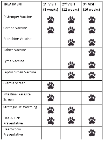 Puppy Vaccination Schedule Printable That are Mesmerizing | Hunter Blog