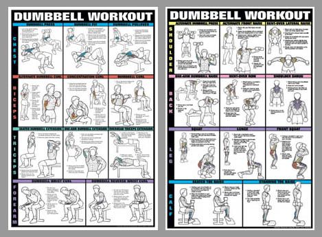 Printable Arm Exercise Chart