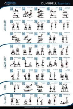 Free Printable Dumbbell Workout Chart | weight lifting | Pinterest 