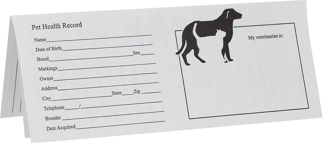 Free Printable Dog Health Record shop fresh