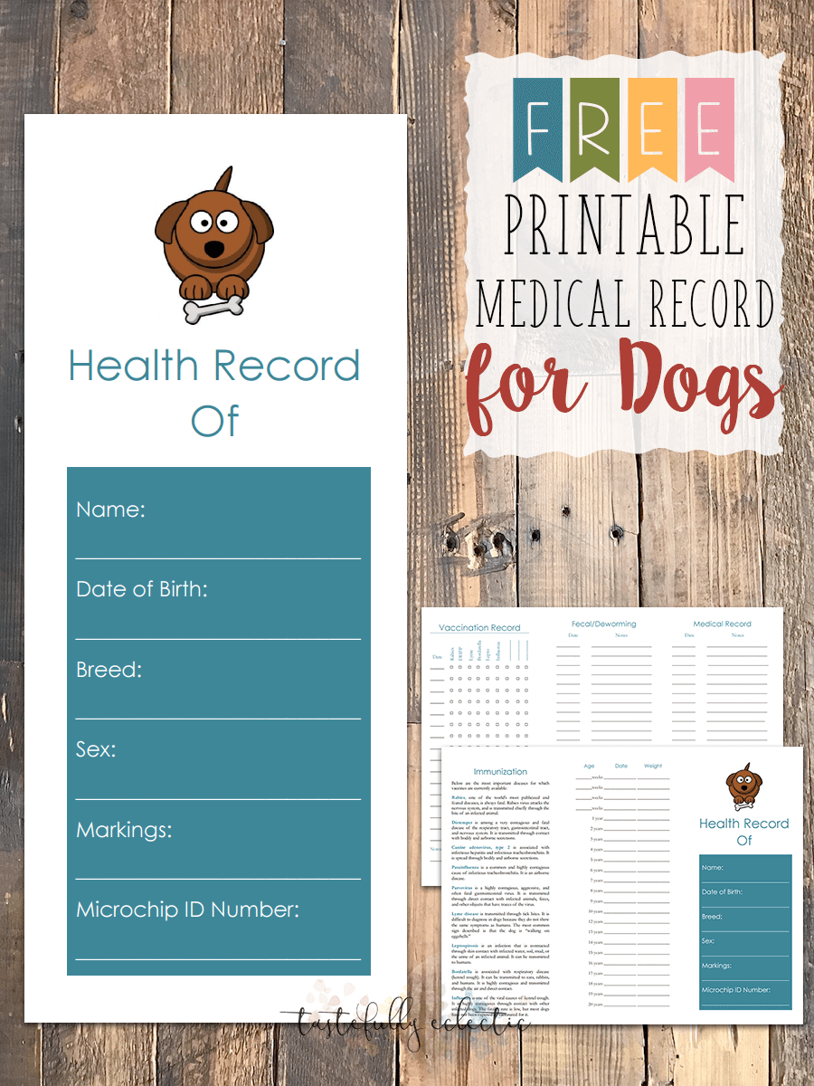 Free Printable Medical Record for Dogs   Tastefully Eclectic