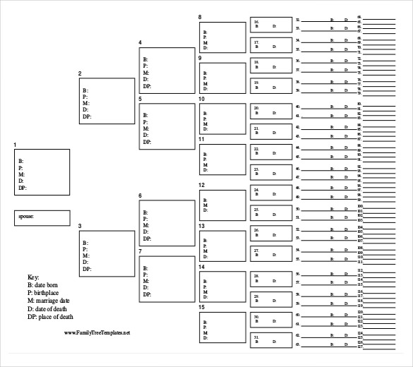 Free Family Tree Template | Printable Blank Family Tree Chart