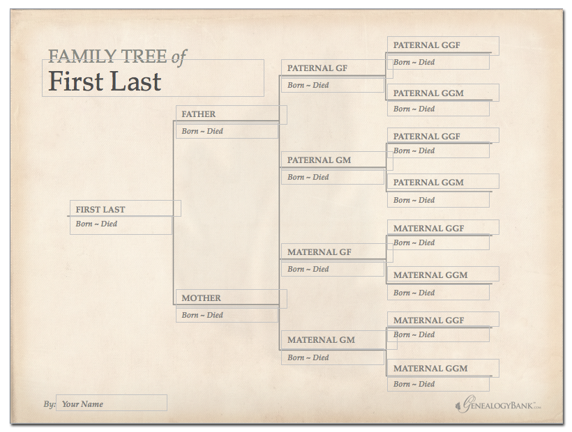 Family Tree Lesson Plans: Large tree templates for designing a 