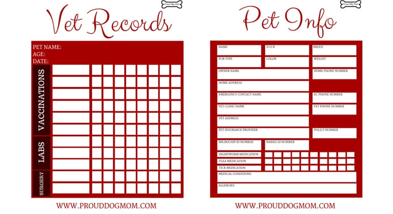 FREE DOWNLOAD: Printable Vet Records Keeper