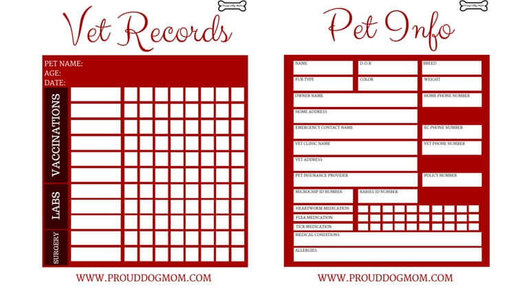 Dog Vaccination Record