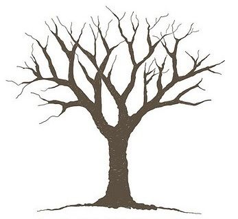 Birch Tree Stencil | Free Stencil Gallery