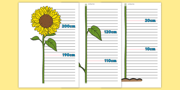 Easy DIY ruler growth chart | House Mix