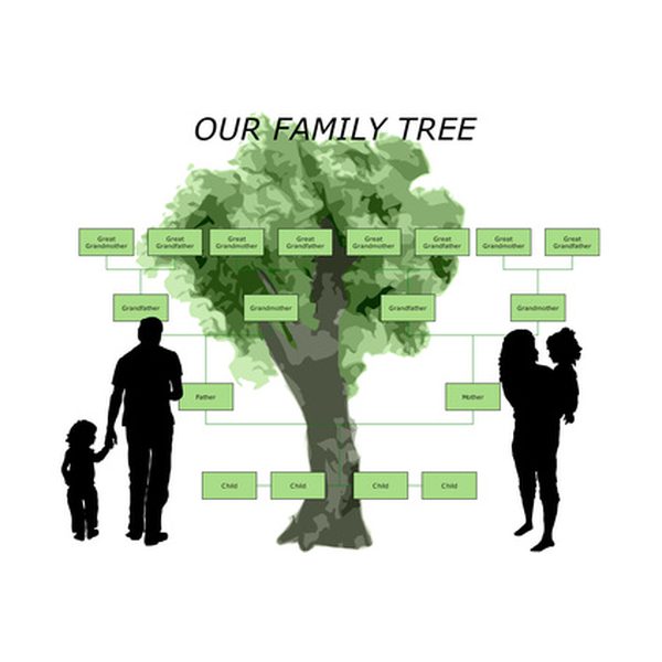 How to Make a Family Tree Using a Free Template | Our Everyday Life