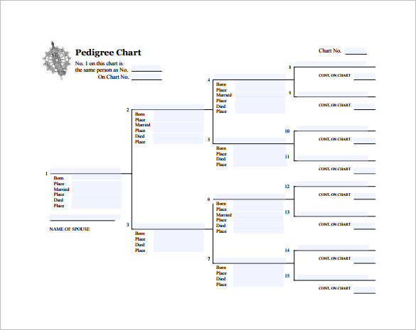 Free Pedigree Chart   5 Generation ~ Sweeny Family History Files