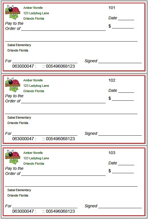 Blank Check Example For Teaching