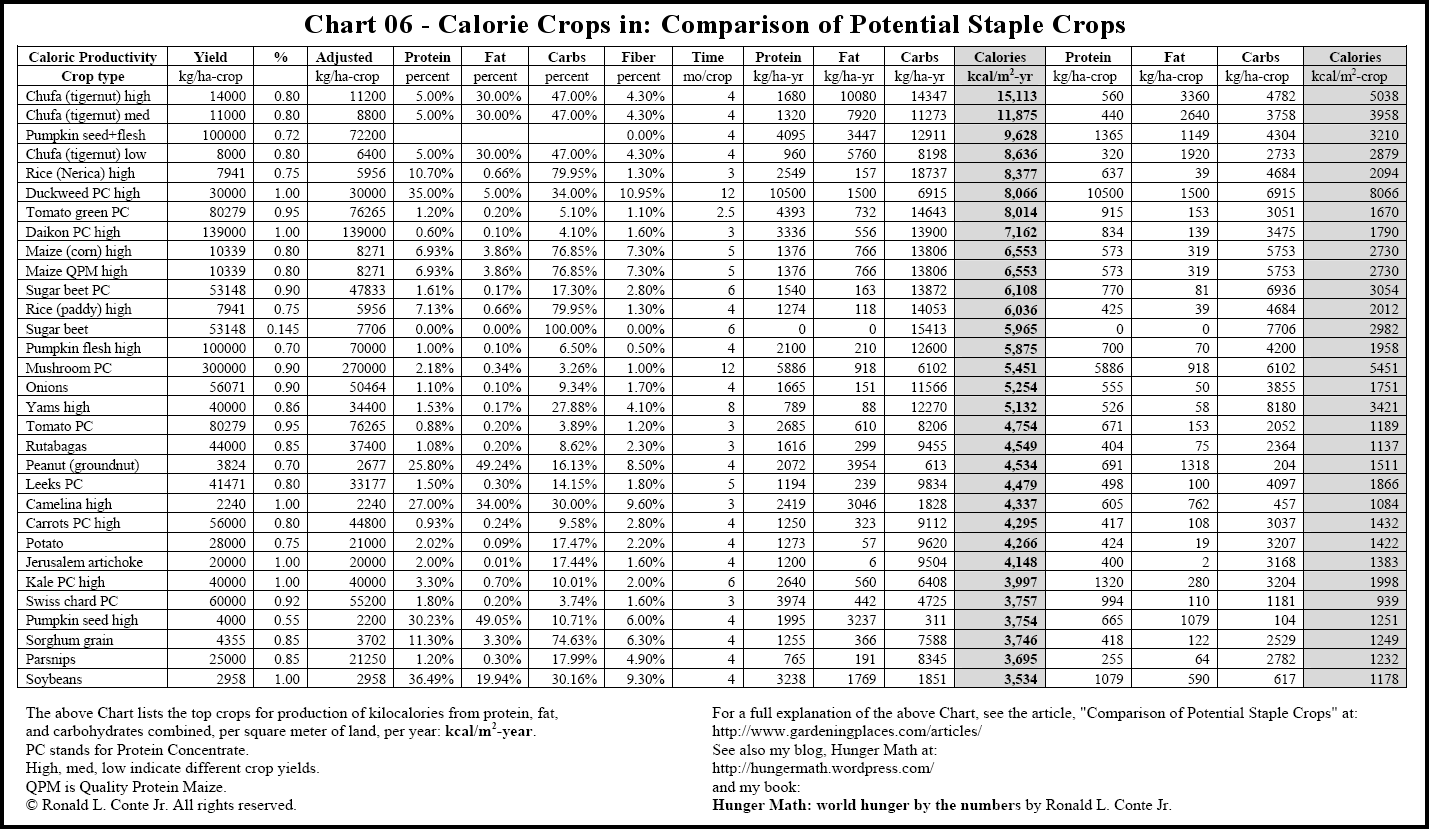 Craft Calorie Chart