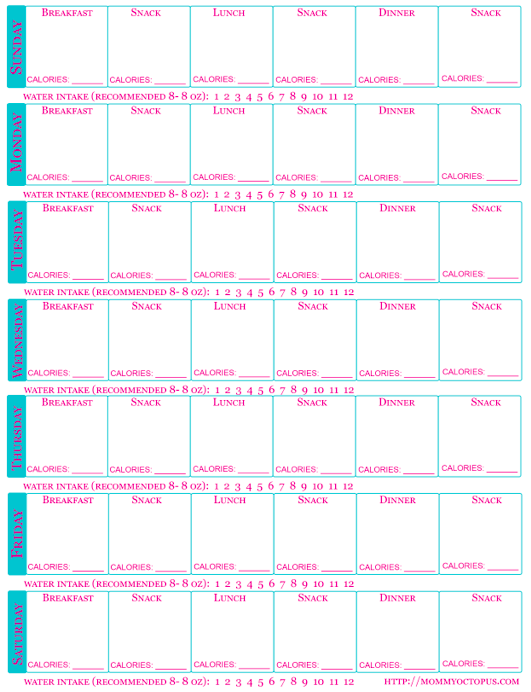 Printable Food Journal For Calorie Tracking | Follow Our Thrift 
