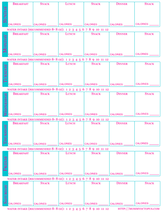 apple sheets calorie tracker template