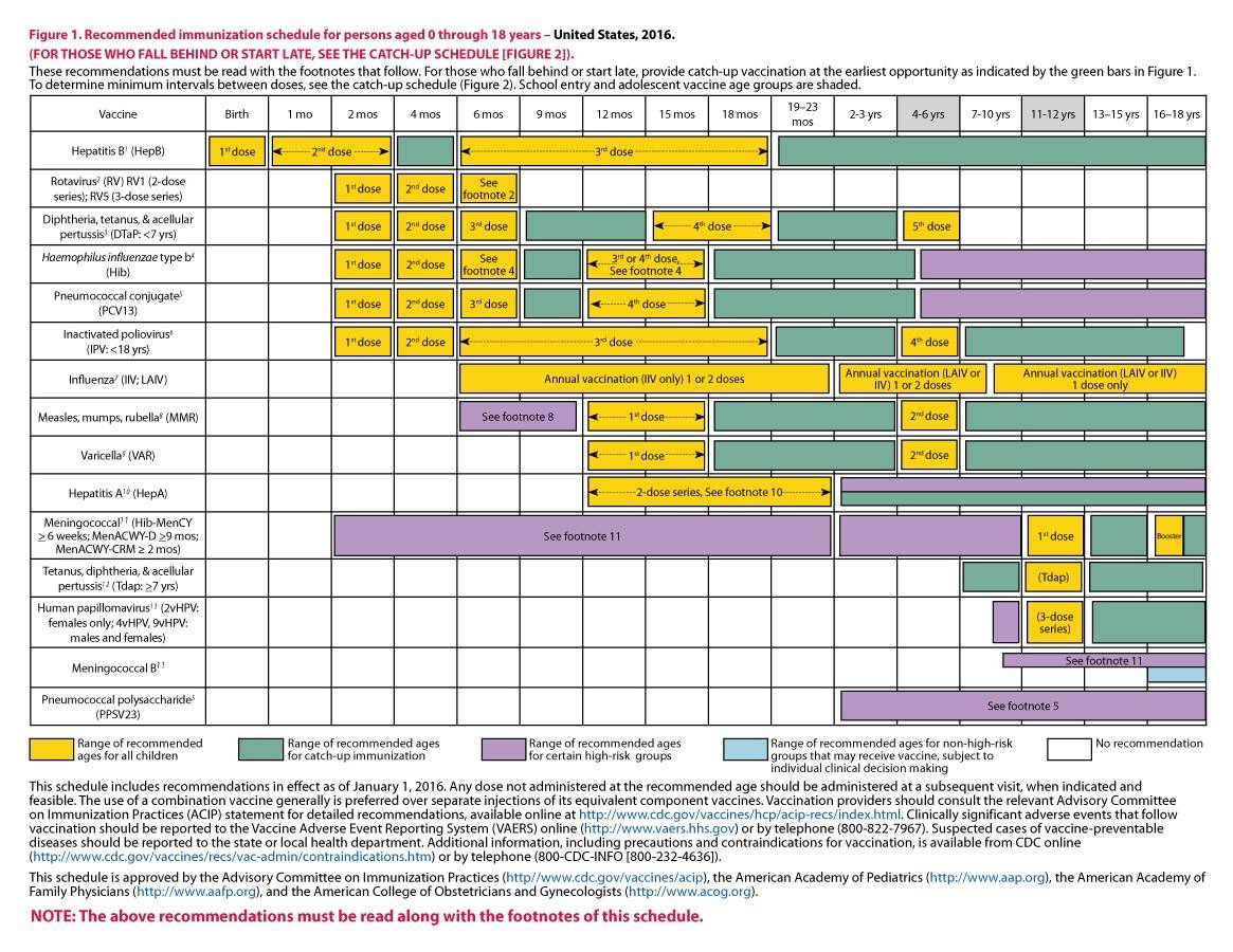 38 Useful Immunization & Vaccination Schedules [PDF]   Template Lab