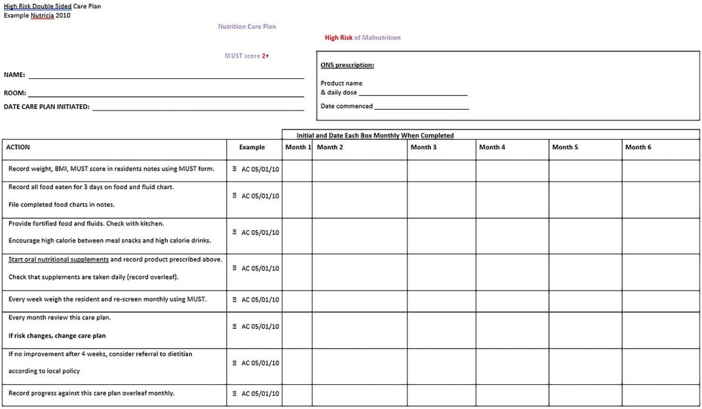 Care Plan Template 