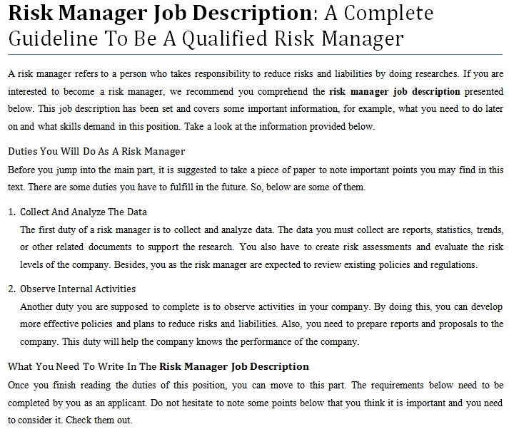 Job Description For Risk Manager