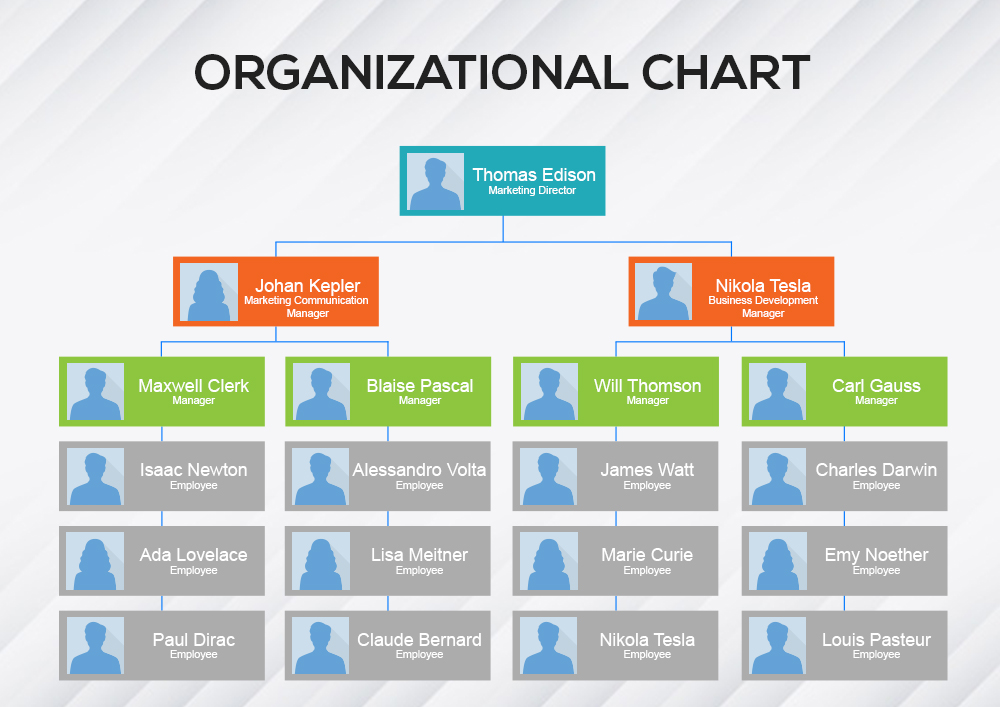 Organizational Chart Template template free psd | shop fresh